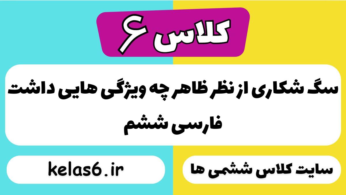 سگ شکاری از نظر ظاهر چه ویژگی هایی داشت فارسی ششم