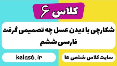 شکارچی با دیدن عسل چه تصمیمی گرفت فارسی ششم