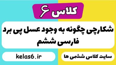 شکارچی چگونه به وجود عسل پی برد فارسی ششم