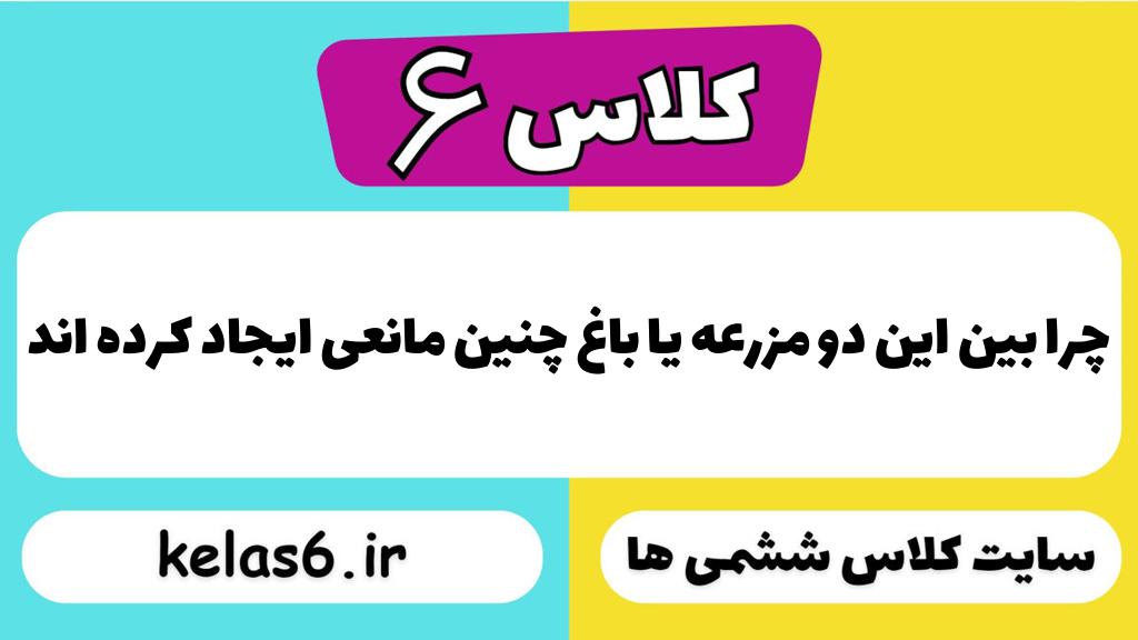 چرا بین این دو مزرعه یا باغ چنین مانعی ایجاد کرده اند