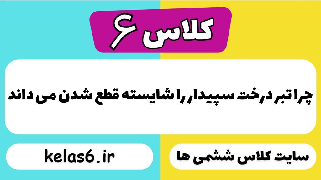 چرا تبر درخت سپیدار را شایسته قطع شدن می داند