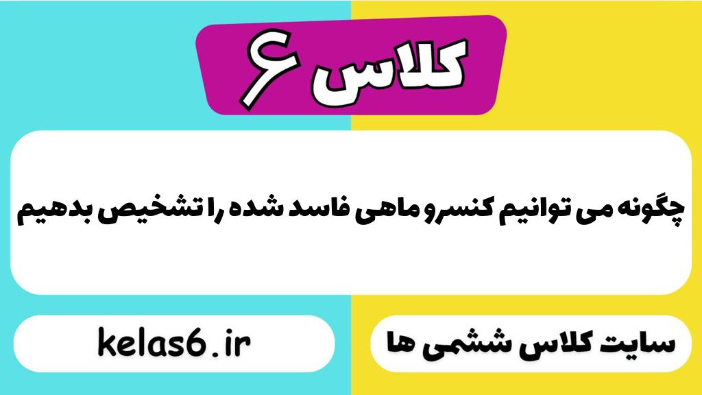 چگونه می توانیم کنسرو ماهی فاسد شده را تشخیص بدهیم