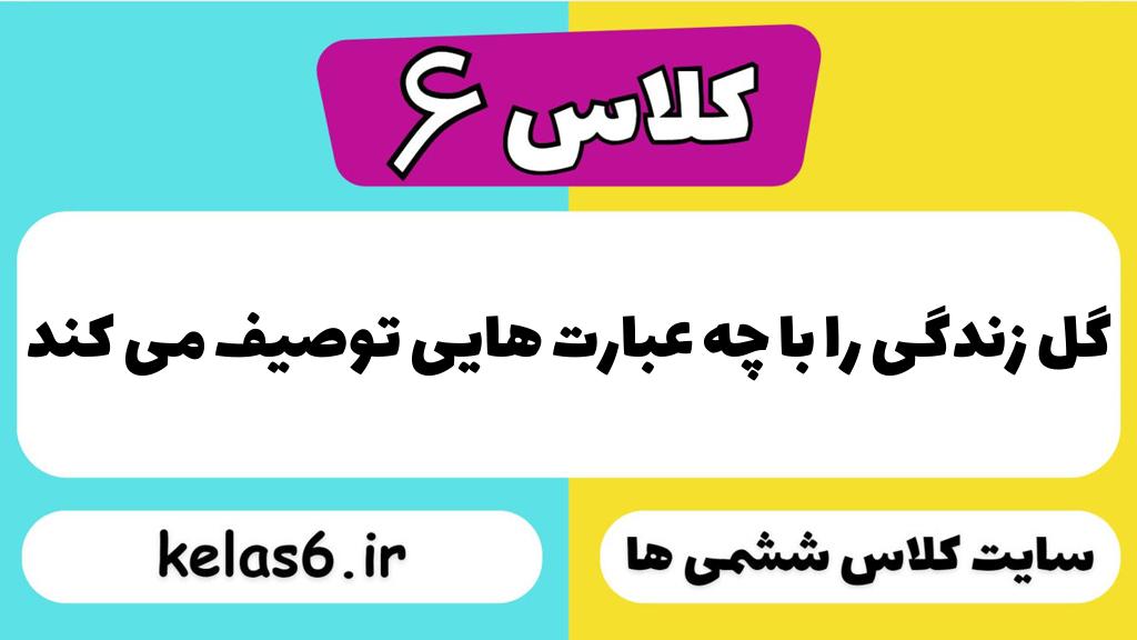 گل زندگی را با چه عبارت هایی توصیف می کند